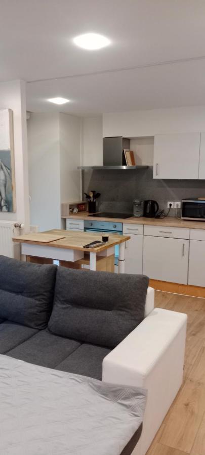 Apartment Tres Bel Rez De Jardin De 53m2.